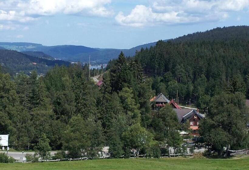 דירת חדר, Schwarzwald-chalet Feldberg