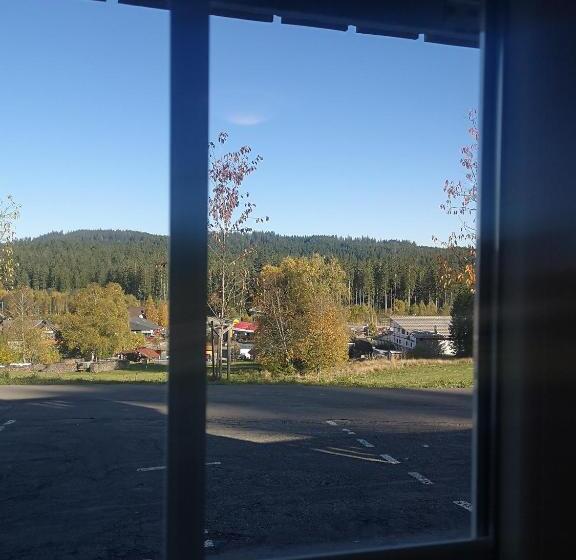 1 Yatak Odalı Daire, Schwarzwald-chalet Feldberg