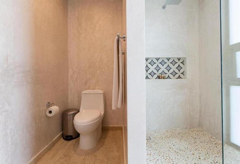 استودیوی استاندارد, The Panoramic By Xperience Hotels