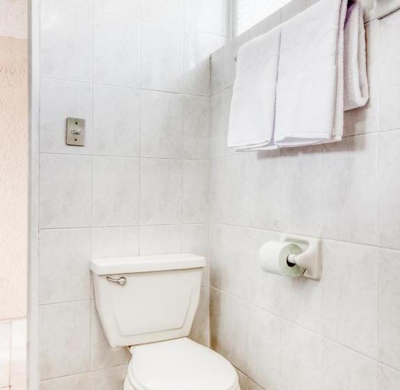 Четырехместный Номер Стандарт, Capital O Hotel La Siesta, Gomez Palacio