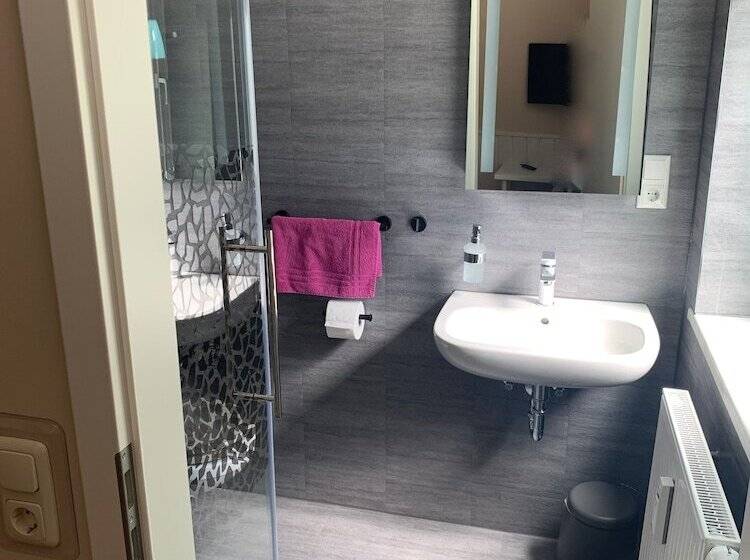 标准单人间, Pension Triebischtal