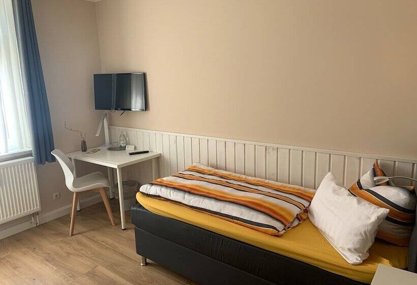 标准单人间, Pension Triebischtal