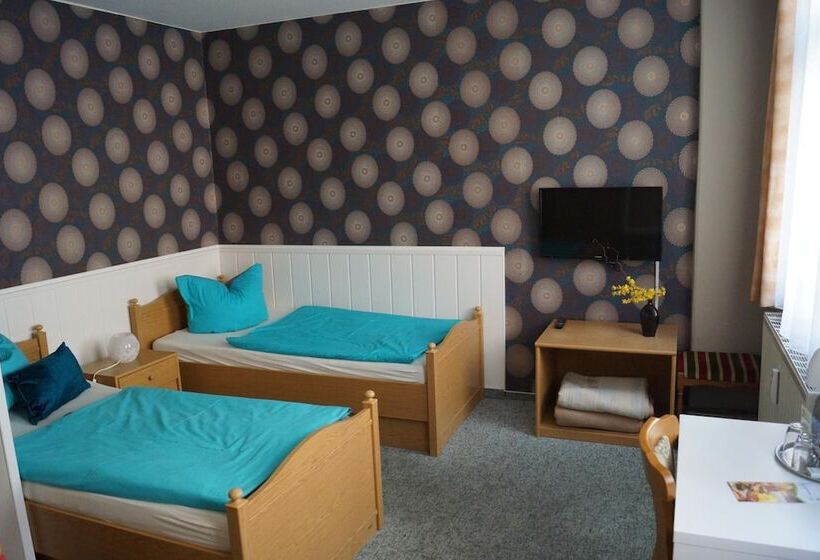 Номер Стандарт, Pension Triebischtal