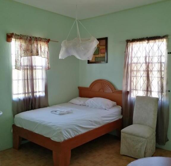 اتاق لوکس, Ms. Holder's Comfort Villa