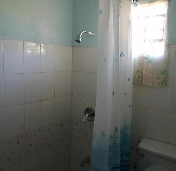 اتاق لوکس, Ms. Holder's Comfort Villa