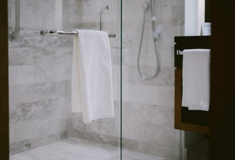 带大床的标准间, Doubletree By Hilton Celaya