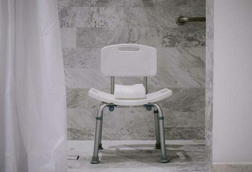 适合残疾人士使用的带超级大床的标准间, Doubletree By Hilton Celaya