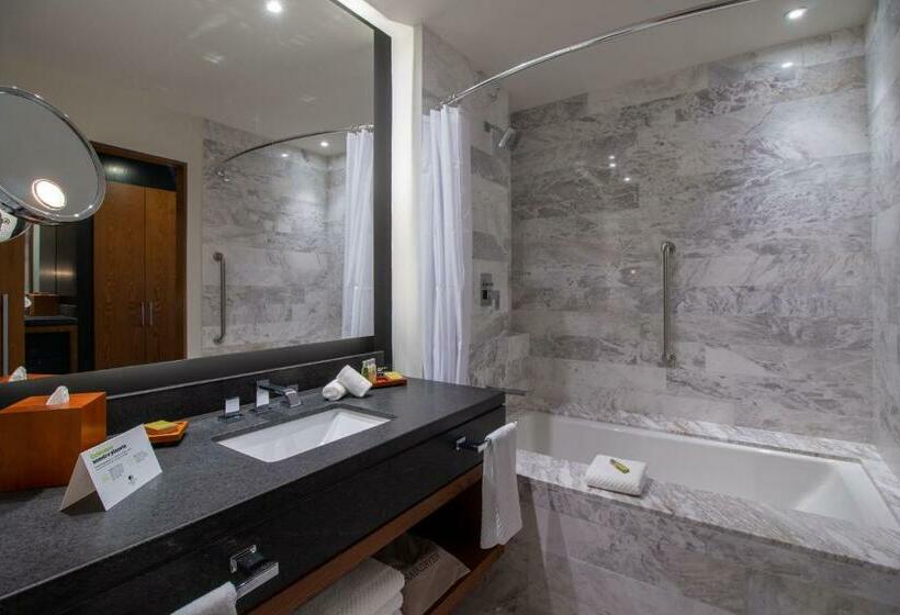 标准间, Doubletree By Hilton Celaya