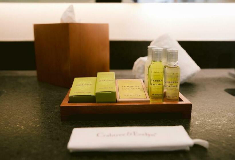 豪华房间, Doubletree By Hilton Celaya