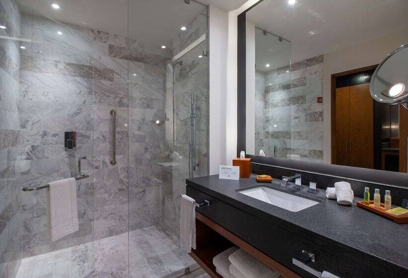 デラックスルーム, Doubletree By Hilton Celaya