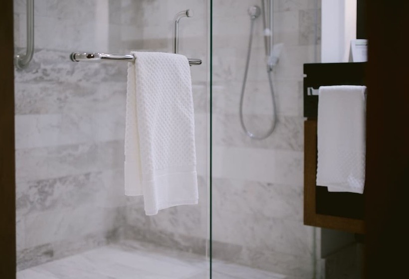 豪华房间, Doubletree By Hilton Celaya