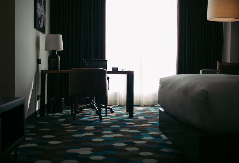 豪华房间, Doubletree By Hilton Celaya