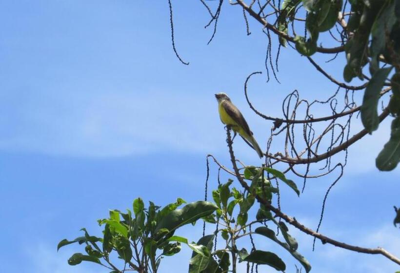 一居室高级别墅, Pousada Serra Vista