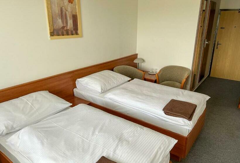 Standard Szoba Erkéllyel, Retro Hotel Suza