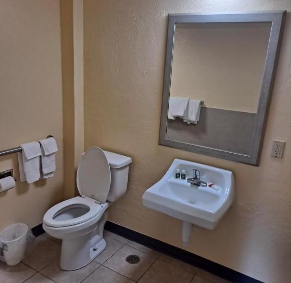 غرفة قياسية سرير كينج لذوى الإحتياجات الخاصة, Days Inn By Wyndham Gainesville University