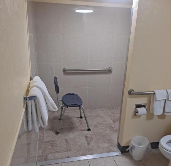 غرفة قياسية لذوى الاحتياجات الخاصة, Days Inn By Wyndham Gainesville University