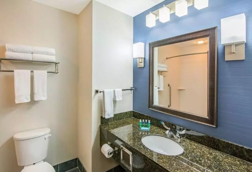 Standard-huone, Holiday Inn Express Cleveland Airport   Brook Park, An Ihg