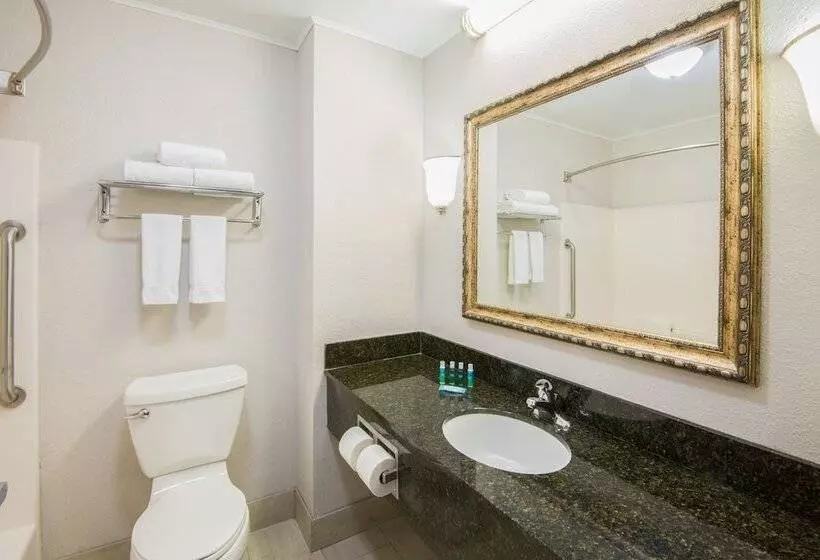 Standard-huone, Holiday Inn Express Cleveland Airport   Brook Park, An Ihg