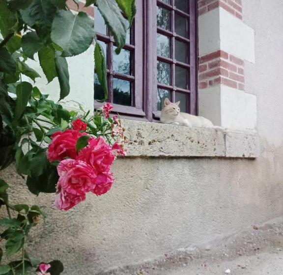 غرفة قياسية, Les Chambres De Troussay