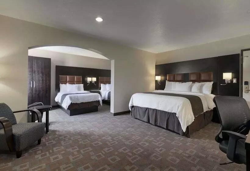 اتاق استاندارد برای معلولان, Days Inn By Wyndham Downey