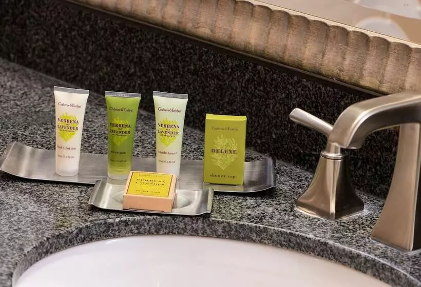 سوییت اجرایی, Doubletree Suites By Hilton Hotel Philadelphia West
