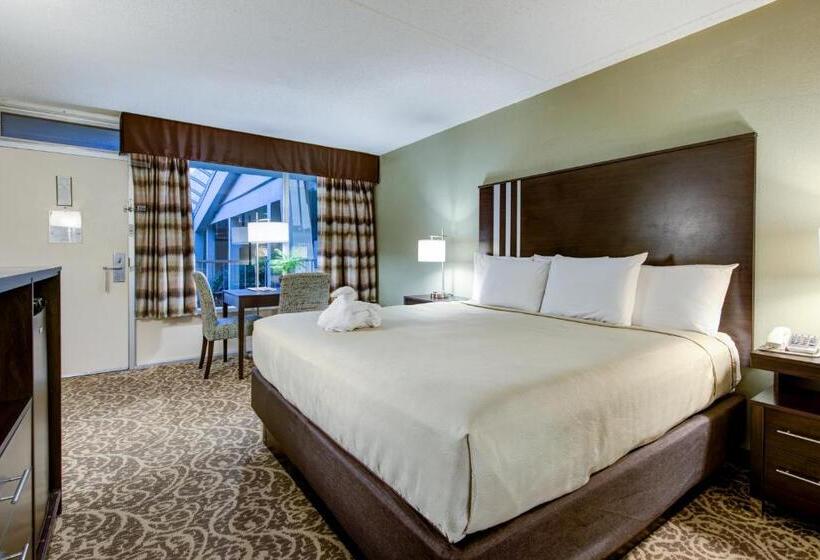 חדר סטנדרט עם מיטת קינג, Glenstone Lodge