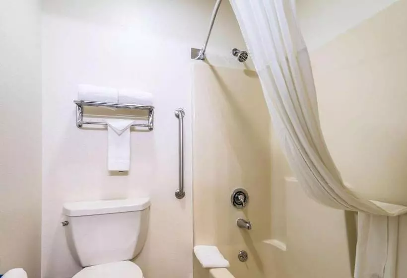 身障者適用スタンダードルーム, Quality Inn & Suites Lacey Olympia