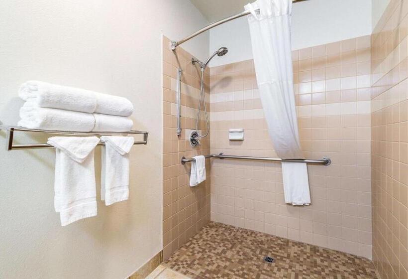 غرفة قياسية لذوى الاحتياجات الخاصة, Quality Inn & Suites Lacey Olympia