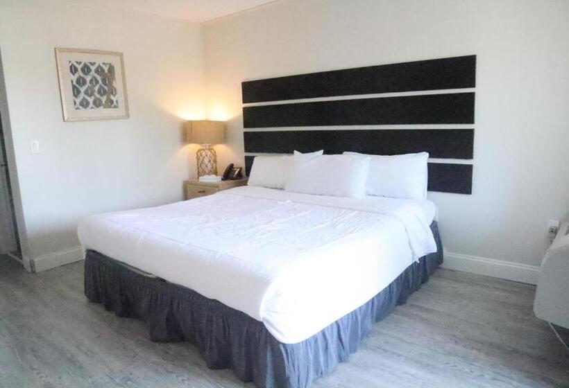 带大床的标准间, The Shore Club