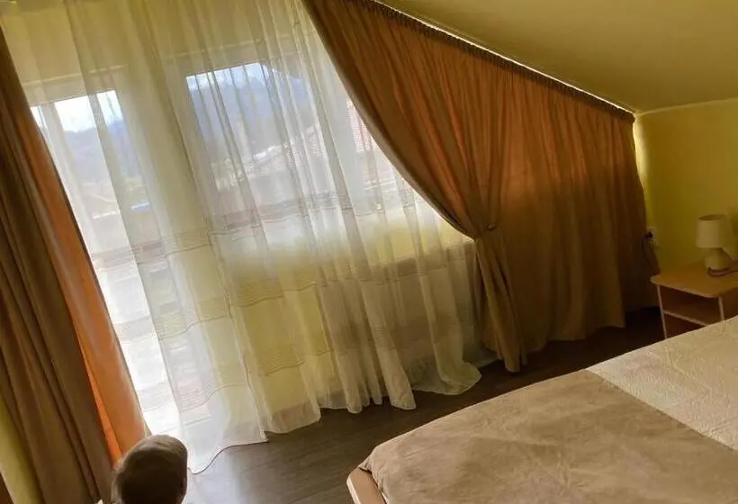 スタンダードルーム, Casa Albert Valea Avrigului