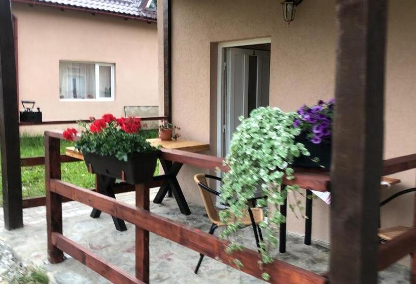 스탠다드 룸 킹사이즈 침대, Casa Albert Valea Avrigului