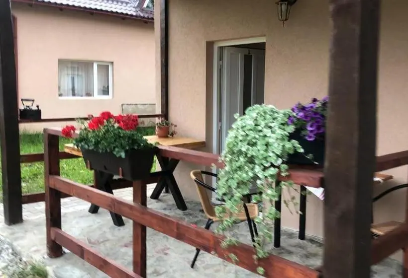 キングサイズベッドのスタンダードルーム, Casa Albert Valea Avrigului