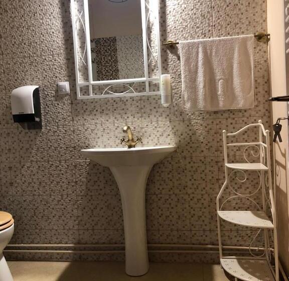 스탠다드 룸 킹사이즈 침대, Casa Albert Valea Avrigului