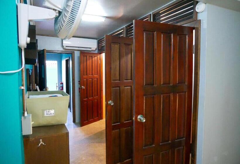 تختخواب در اتاق مشترک, Drift Inn San Pedro