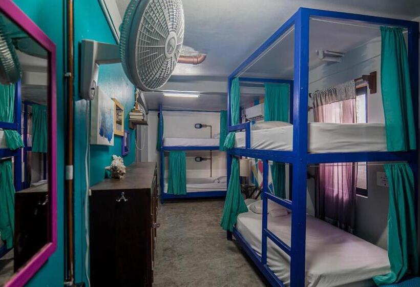 공동 객실, Drift Inn San Pedro