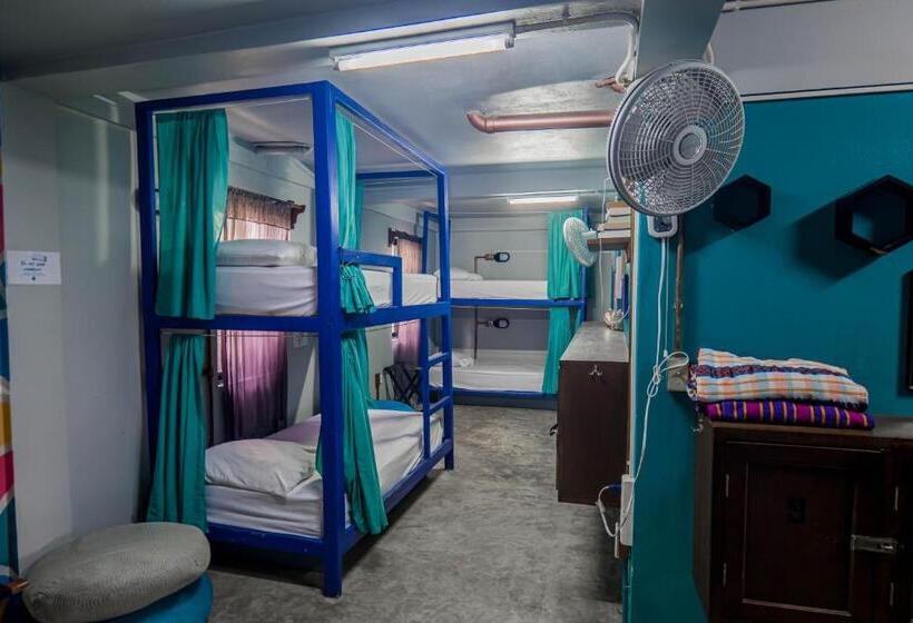 تختخواب در اتاق مشترک, Drift Inn San Pedro
