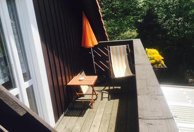 バルコニー付きシングルスタンダードルーム, Pension & Café Abendröte