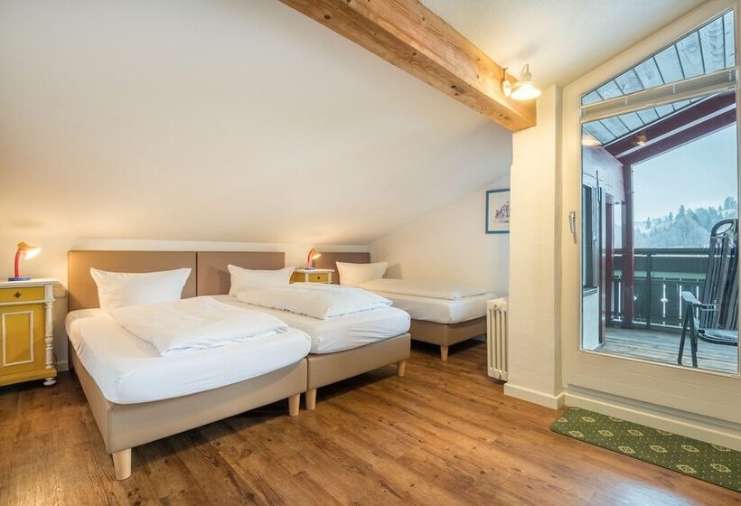 2ベッドルームアパートメント, Ferienhotel Starennest