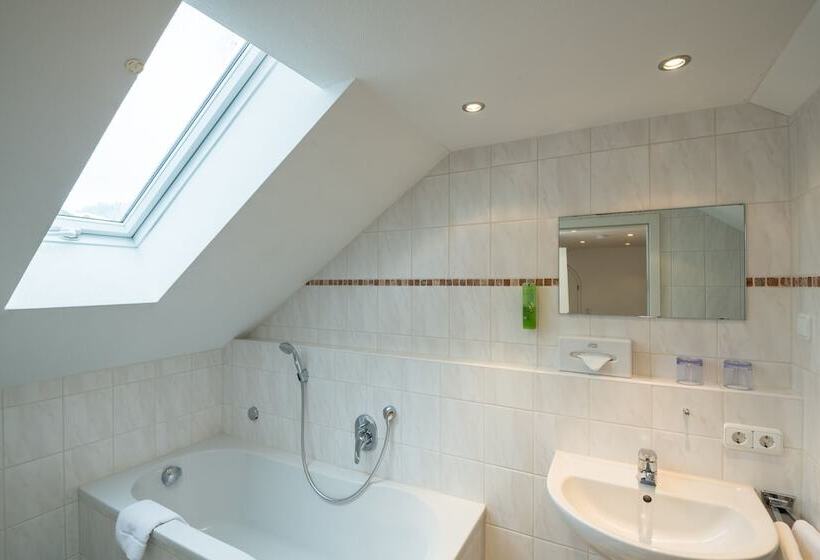 ベーシックルーム, Ferienhotel Starennest