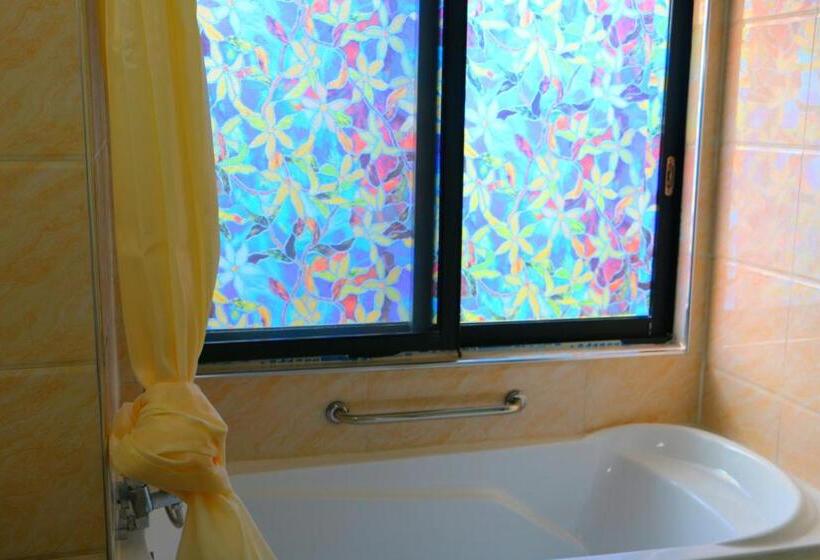 ベーシックトリプルルーム, Nadi Fancy