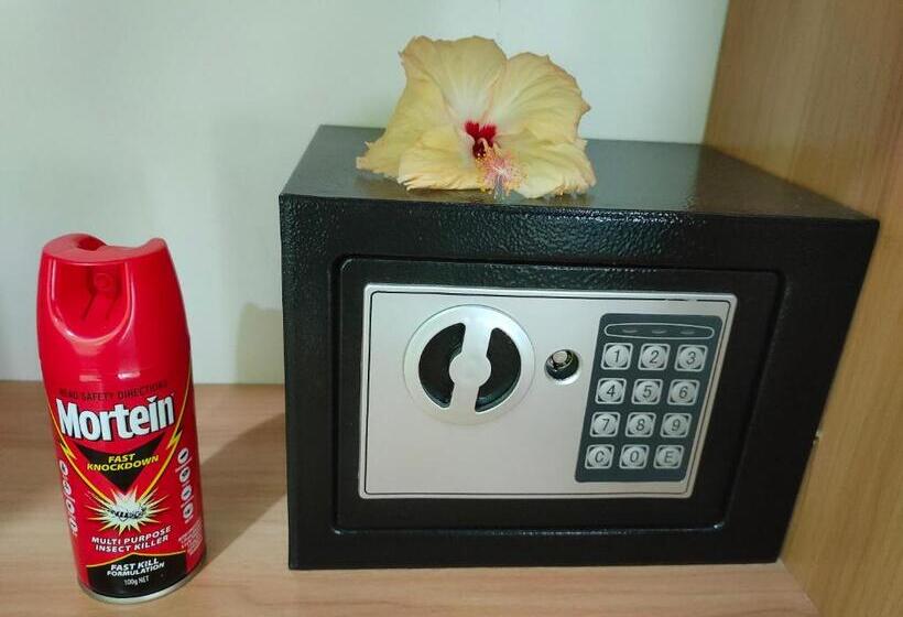 スタンダードスタジオ, Nadi Fancy