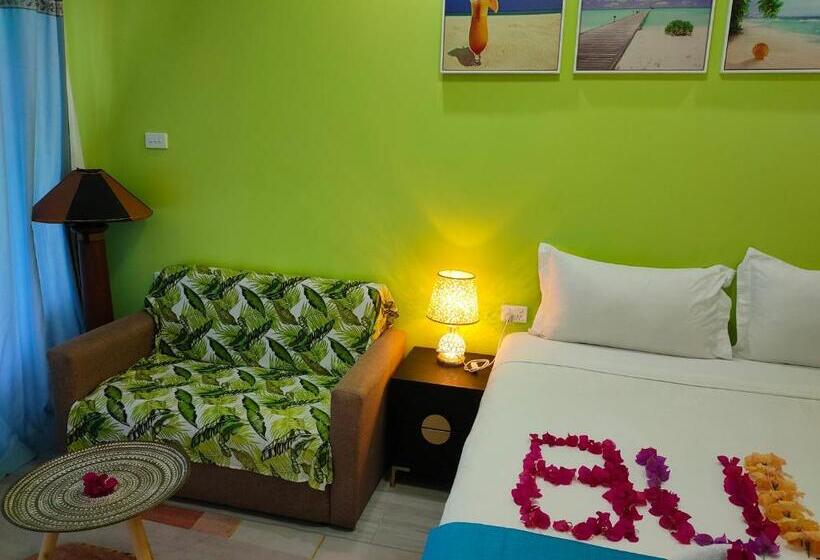 استودیوی استاندارد, Nadi Fancy