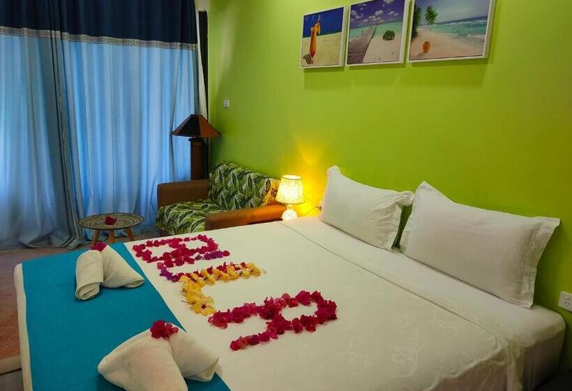 استودیوی استاندارد, Nadi Fancy