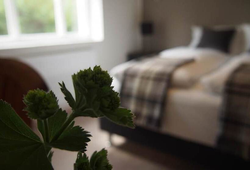 سوئیت 2 خوابه, Granastaðir Guesthouse