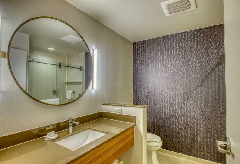 스위트 킹사이즈 침대, Fairfield Inn & Suites By Marriott Appleton