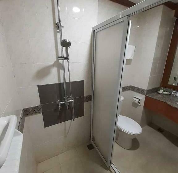 غرفة قياسية, Sara