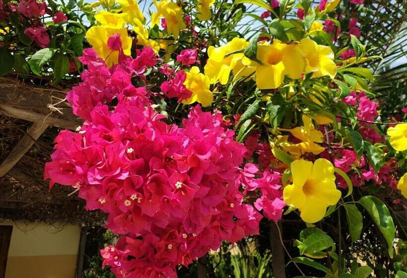 ویلای 2 خوابه, Kunta Kinteh Beach Complex