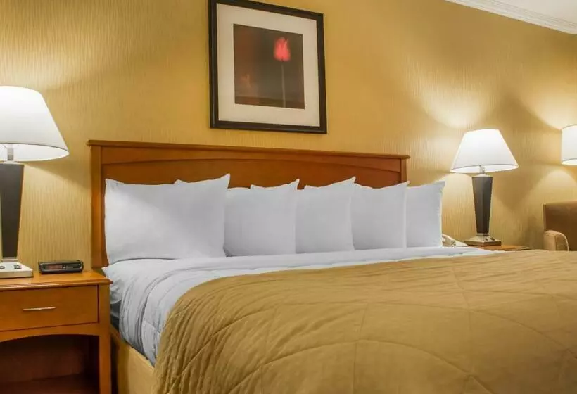 キングサイズベッドのスタンダードルーム, Clarion Hotel & Suites Riverfront