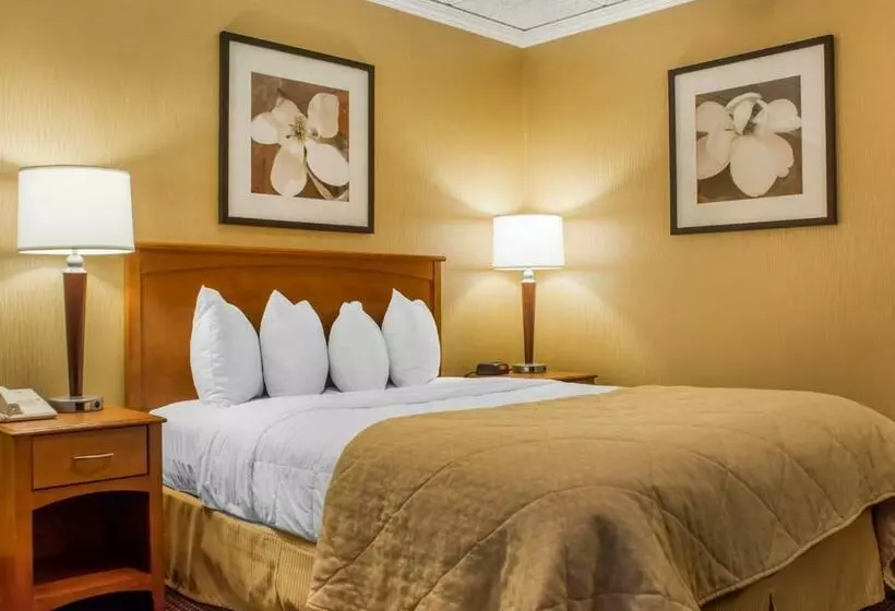 キングサイズベッドのスタンダードルーム, Clarion Hotel & Suites Riverfront