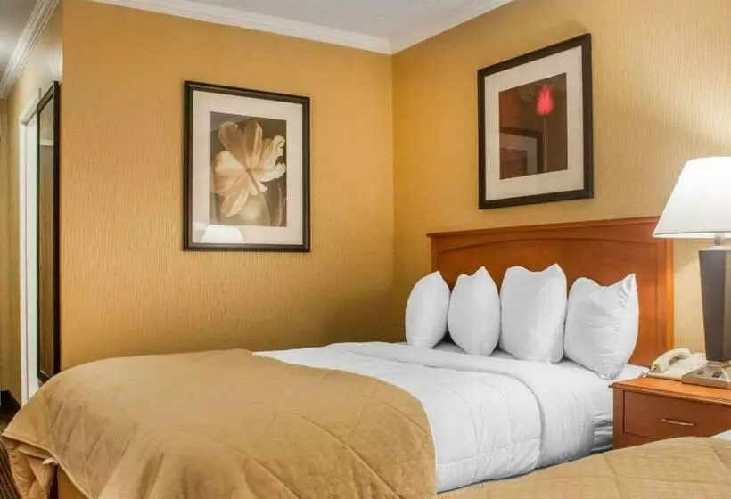 スタンダードルーム, Clarion Hotel & Suites Riverfront